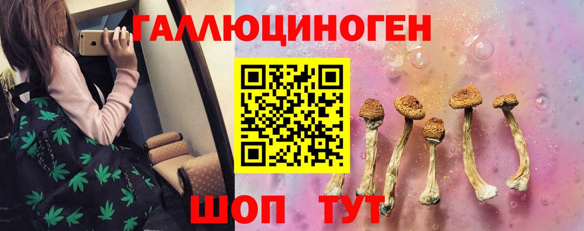 Галлюциногенные грибы Cubensis Борзя