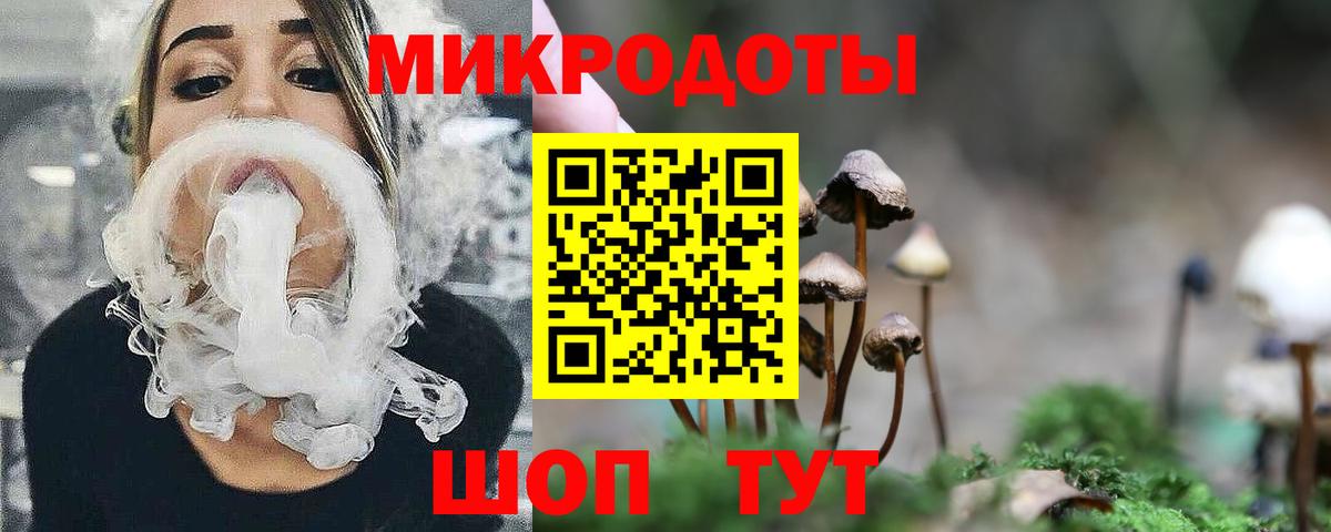 Борзя  Псилоцибиновые грибы Psilocybe  Вход с VPN 